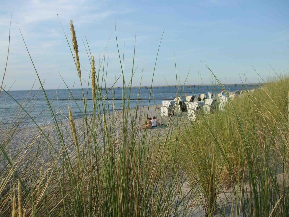 Discovair Graal-Mueritz -Villa Victoria- Strandnah Mit Netflix 外观 照片